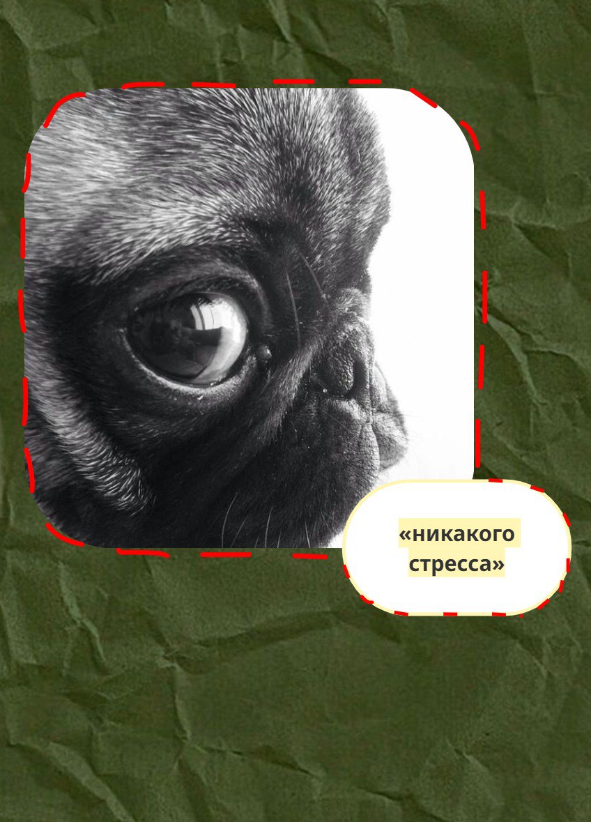https://t.me/familydotexe | Сетка — социальная сеть от hh.ru