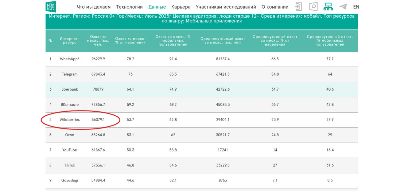 Так есть ли у него будущее? 🤔
А вот здесь я настроен оптимистично! 😊 Почему?
1. Мощь Wildberries | Сетка — социальная сеть от hh.ru