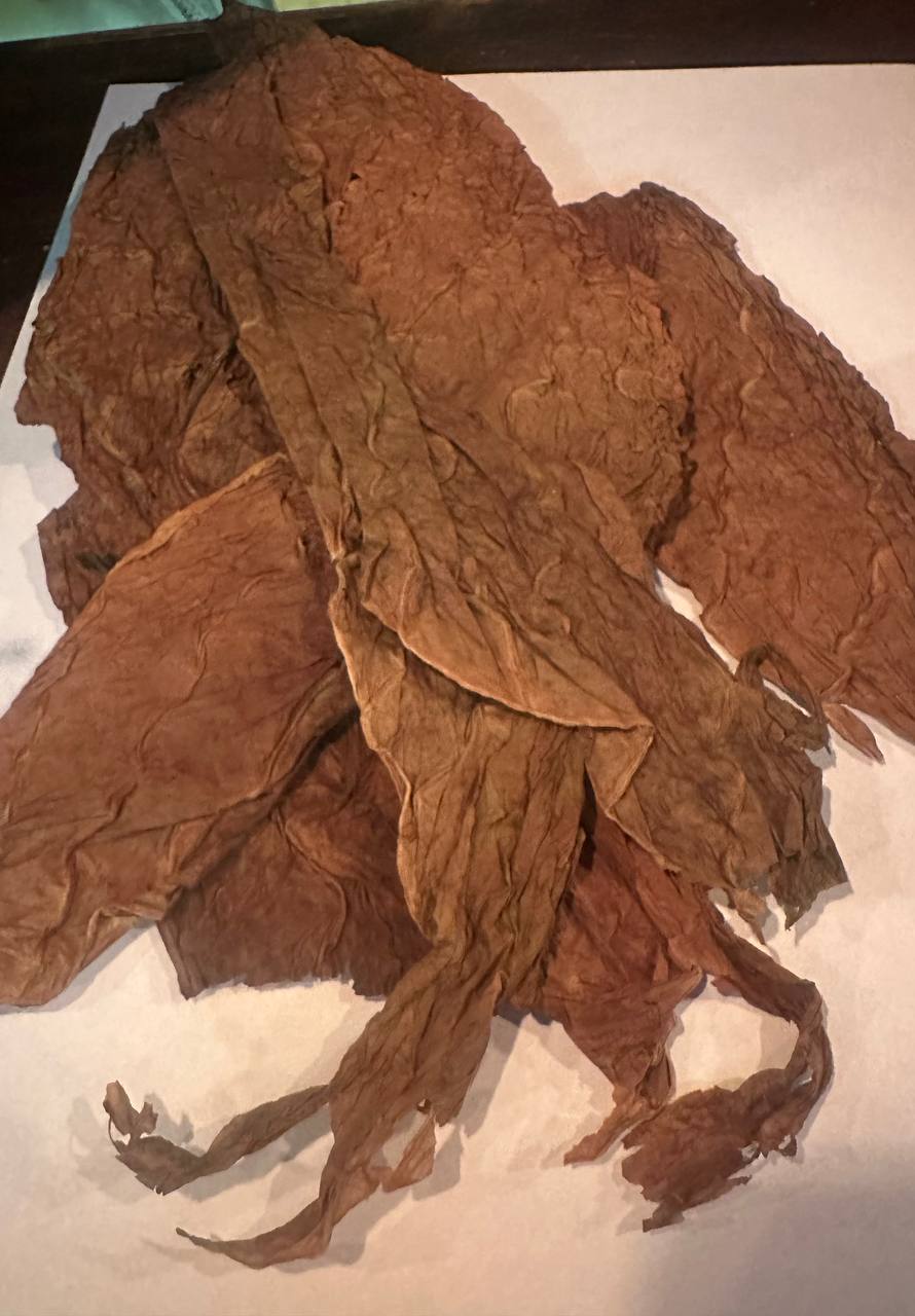 ❌Плюсы работы в Hm❌
Флагманский магазин из табаконистов, в который все рвутся занять полку. И амбассадоры брендов тут частое явление | Сетка — социальная сеть от hh.ru