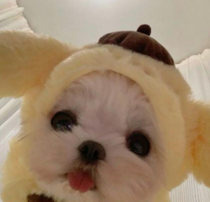 Всем привет! 🌹 | Сетка — социальная сеть от hh.ru