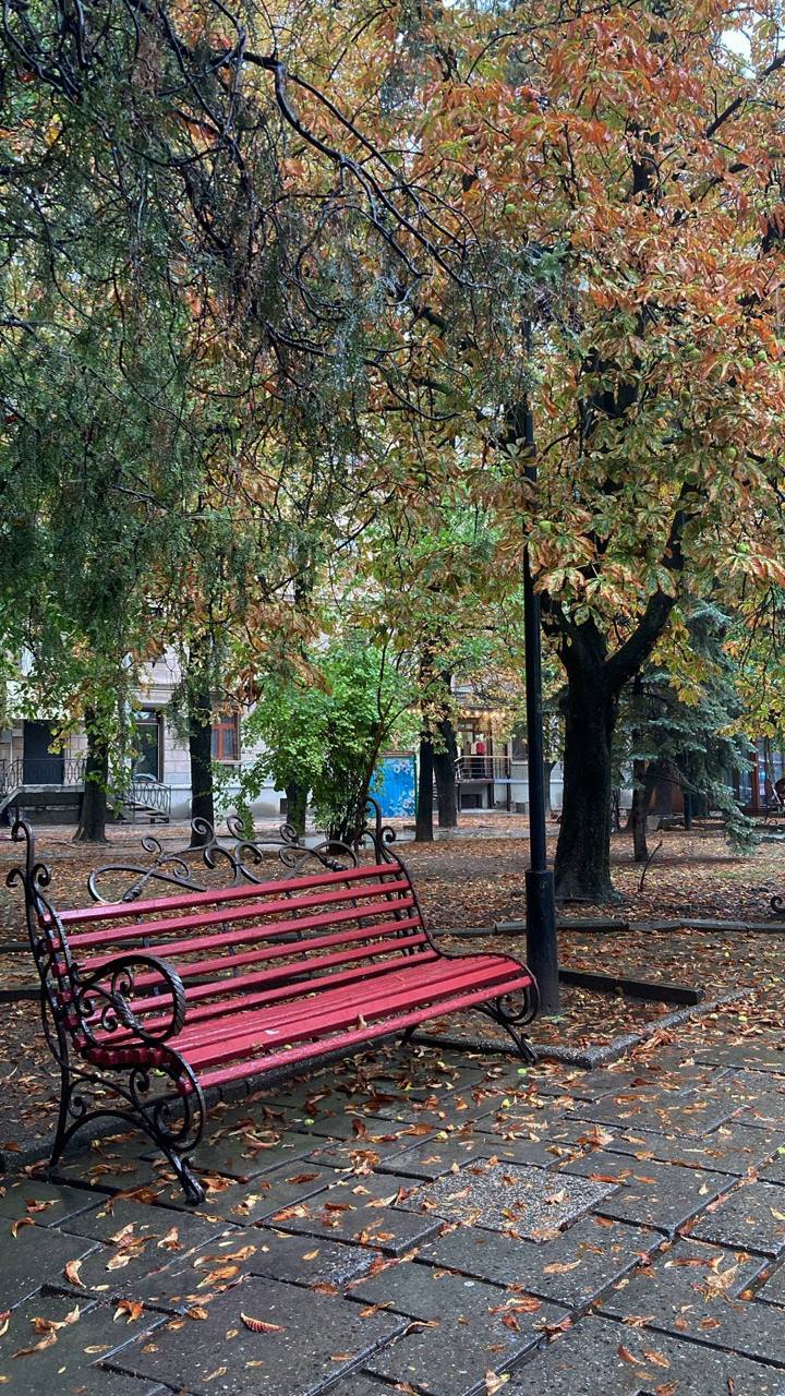 Осенняя хандра или шанс на перезагрузку? 🍂
Знакомое чувство? На дворе осень, а вместе с ней приходят апатия, постоянная усталость и желание закутаться в плед до весны. Кажется, что батарейка села | Сетка — социальная сеть от hh.ru