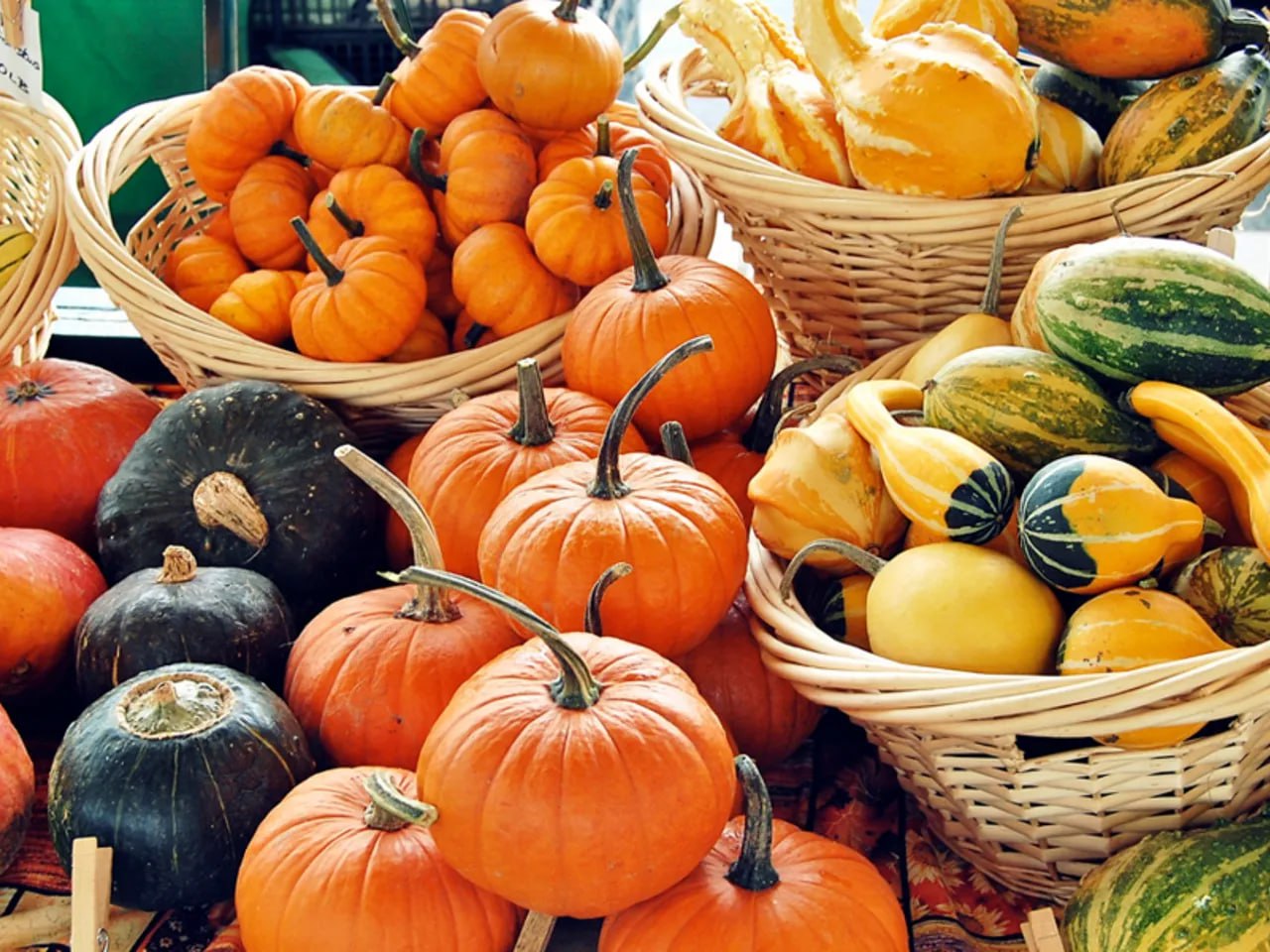 🍃А что новенького вы можете попробовать этой осенью? 🎃
Осень — это не только про уютные пледы и яблочный пирог. На прилавках появляется куча интересных овощей, мимо которых мы обычно проходим | Сетка — социальная сеть от hh.ru