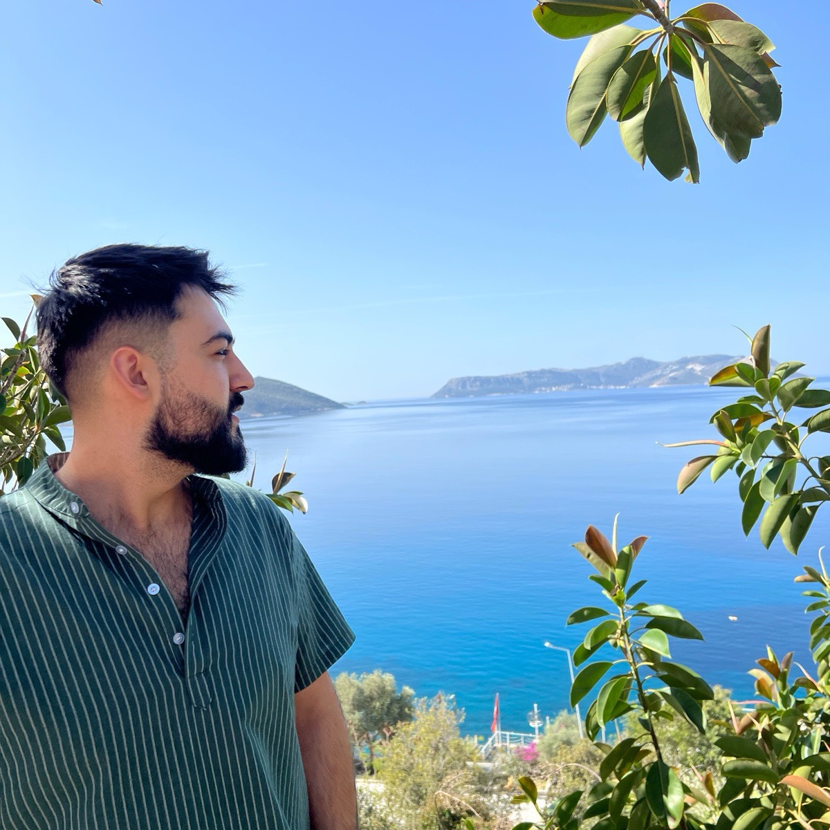 Network member avatar