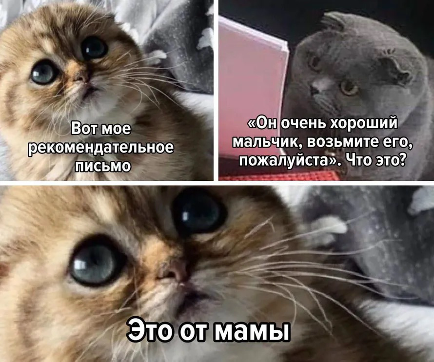 «Синдром портфолио» | Сетка — социальная сеть от hh.ru