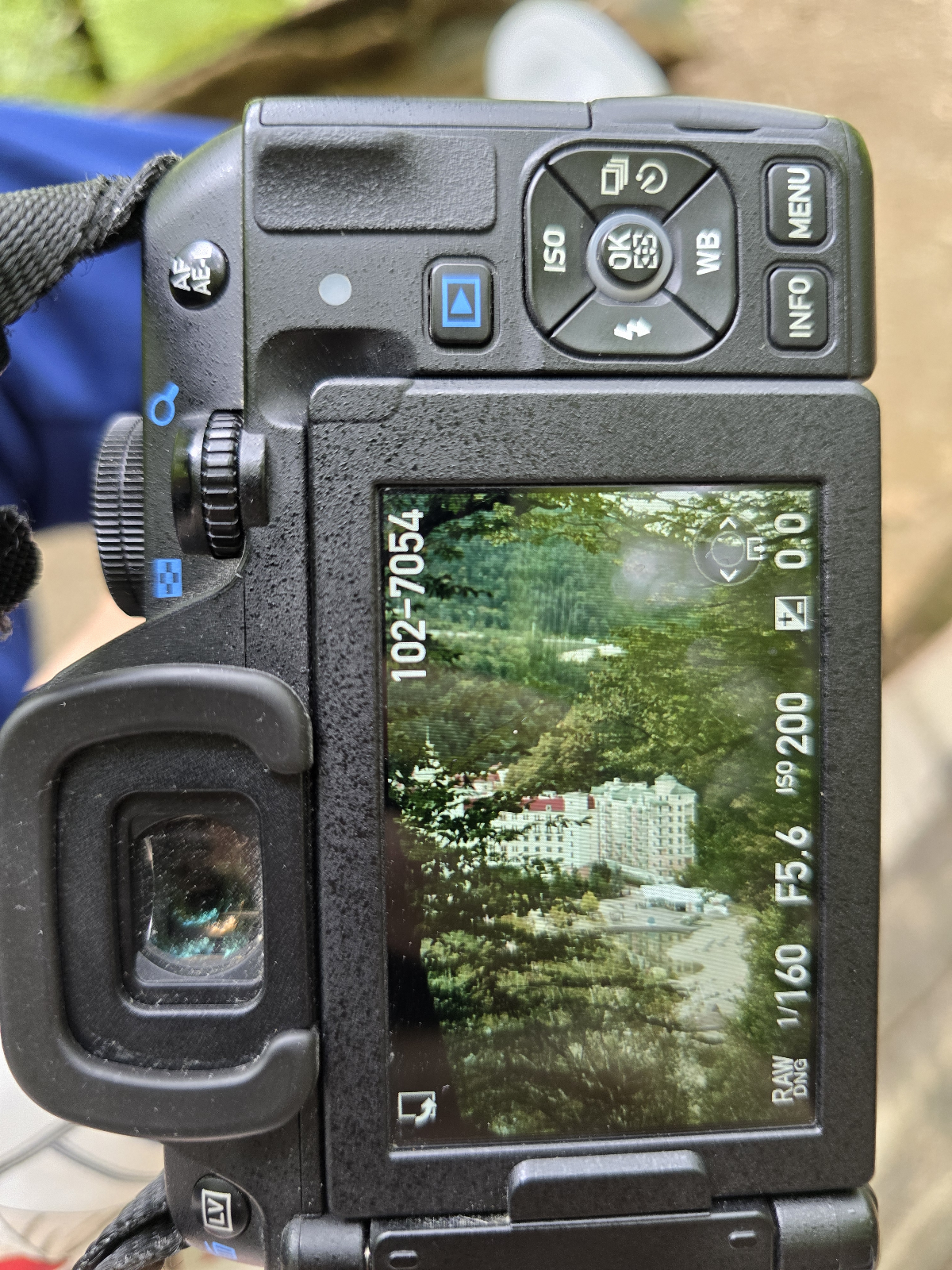 Обеденная прогулка по Роза Хутор | Сетка — социальная сеть от hh.ru