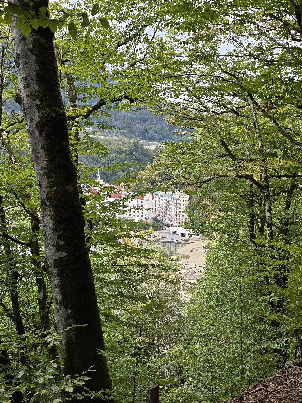 Обеденная прогулка по Роза Хутор | Сетка — социальная сеть от hh.ru