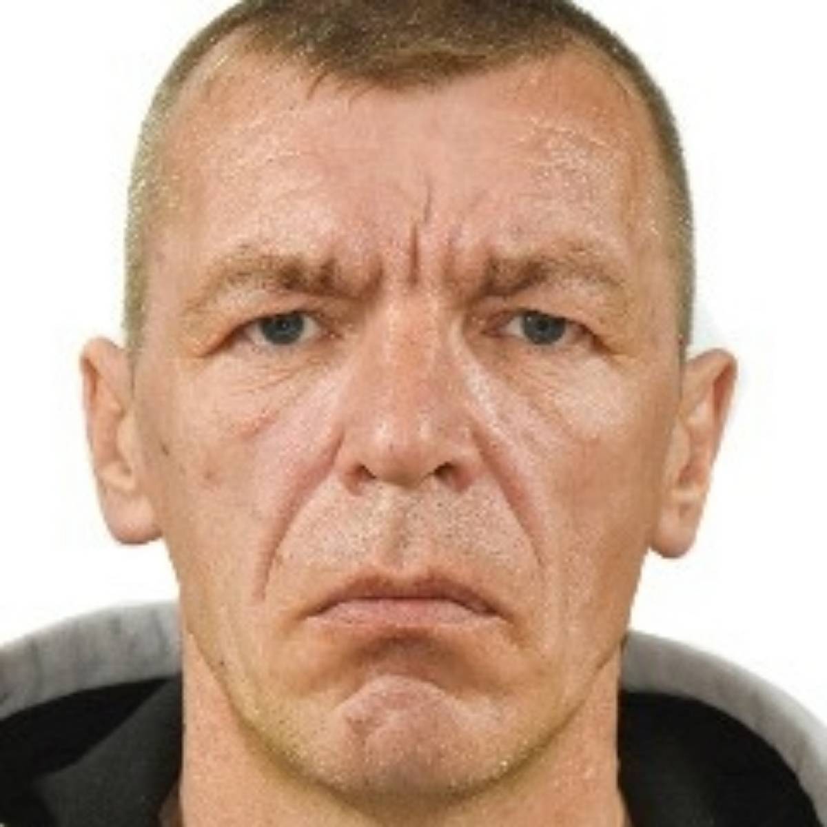 Липа Ден