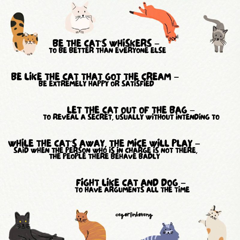 🐈CAT IDIOMS🐈‍⬛ | Сетка — социальная сеть от hh.ru