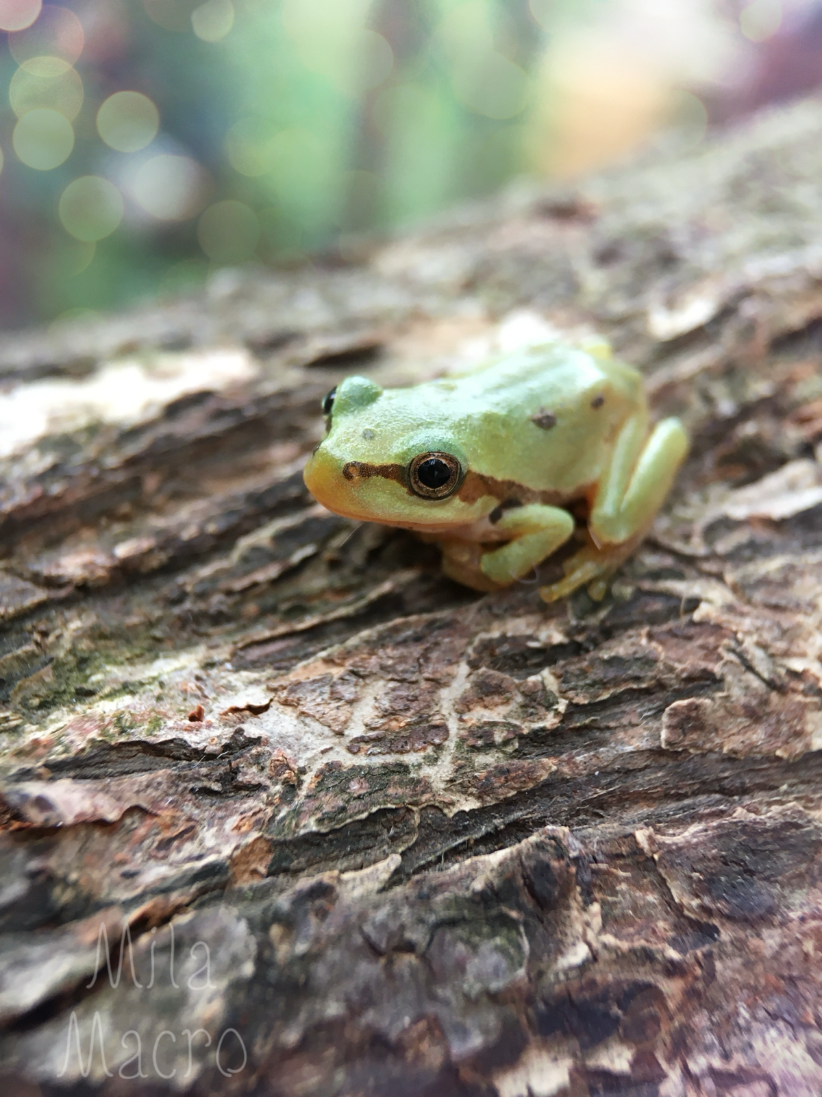 It’s Wednesday, my dudes) | Сетка — социальная сеть от hh.ru