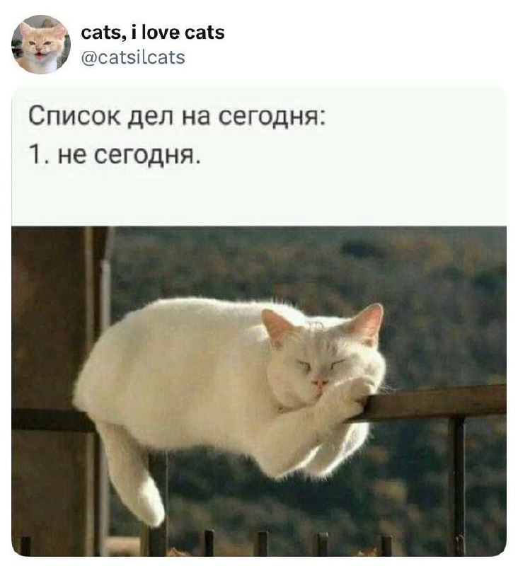 Мемный вторник в среду! | Сетка — социальная сеть от hh.ru