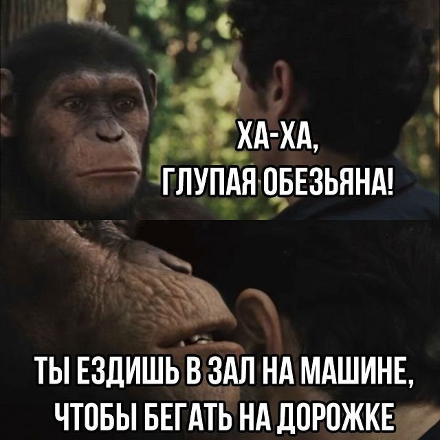 Мемный вторник в среду! | Сетка — социальная сеть от hh.ru