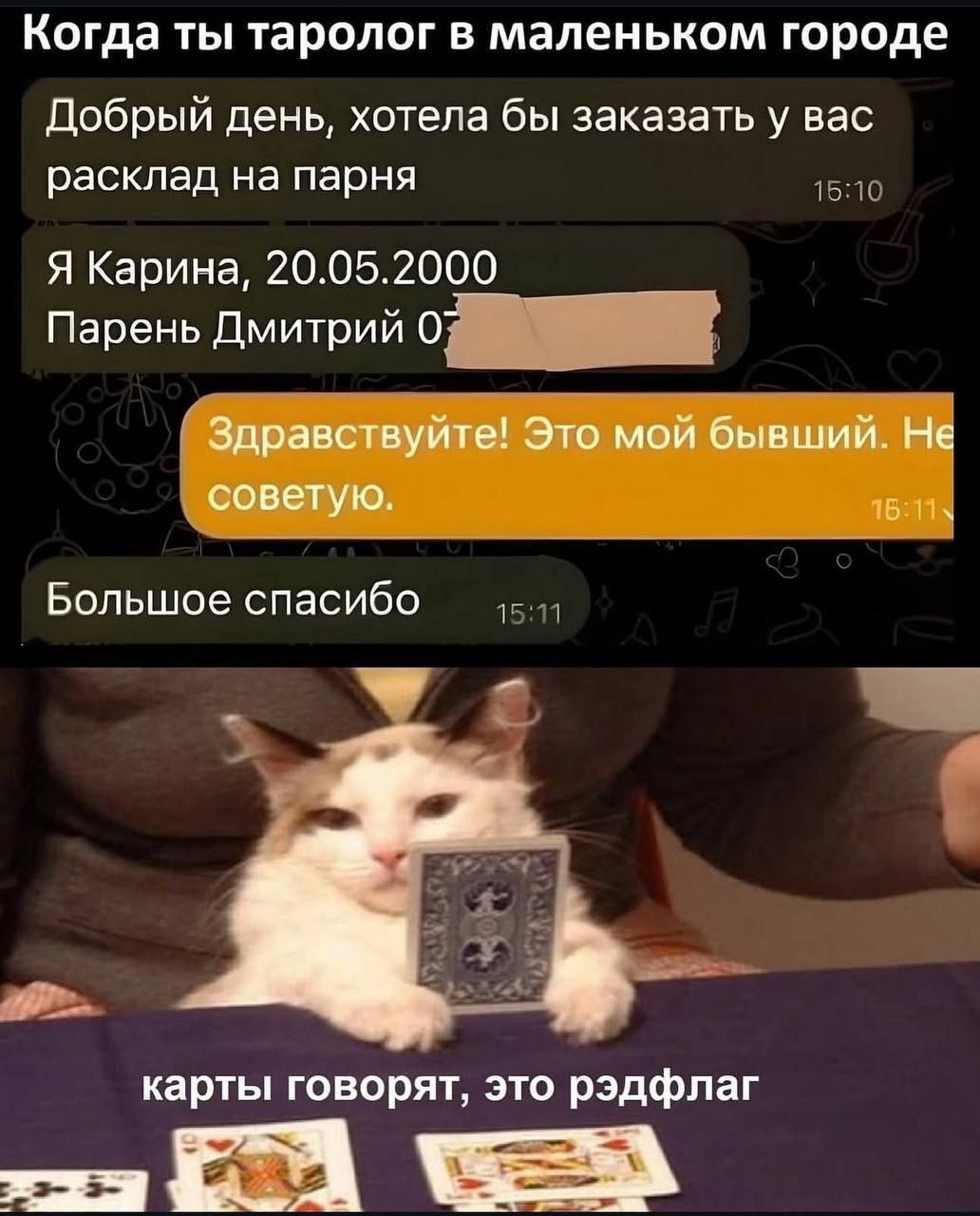 Самый точный расклад 😂
#Юмор@poldner #Коты@poldner | Сетка — социальная сеть от hh.ru