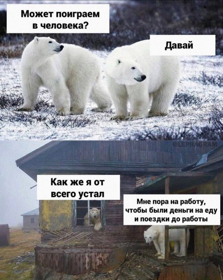 Собеседование | Сетка — социальная сеть от hh.ru