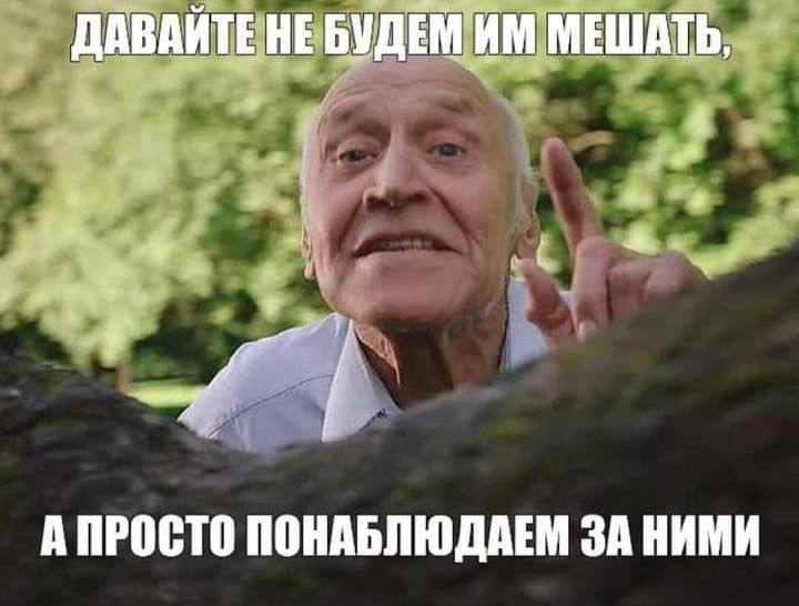 Plov: угадайте, кто это?
✍️Увольняюсь, если не понимают
✍️Не хочу выполнять работу, лишенную смысла или вдохновения
✍️Не терплю грубого обращения
✍️Не откликаюсь на вакансию без удобного графика и гиб... | Сетка — социальная сеть от hh.ru