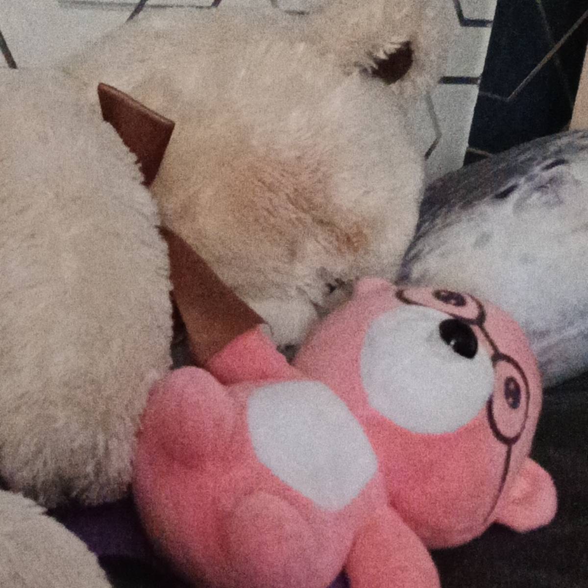 Найк Адидасов | Сетка — социальная сеть от hh.ru