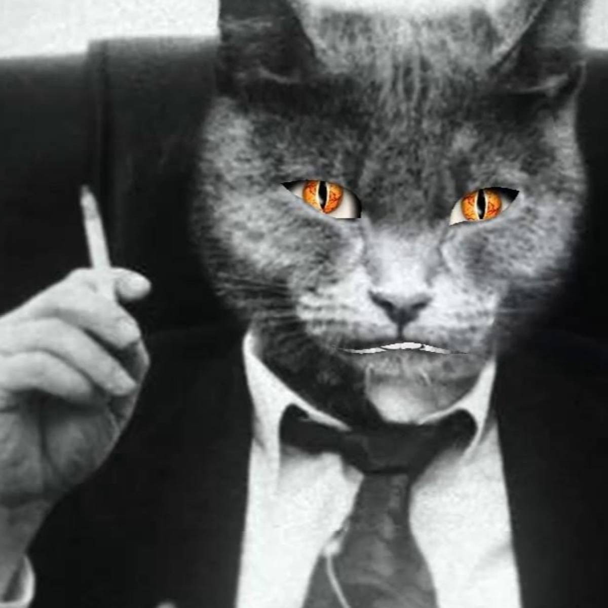 Алексей Соляр | Сетка — социальная сеть от hh.ru