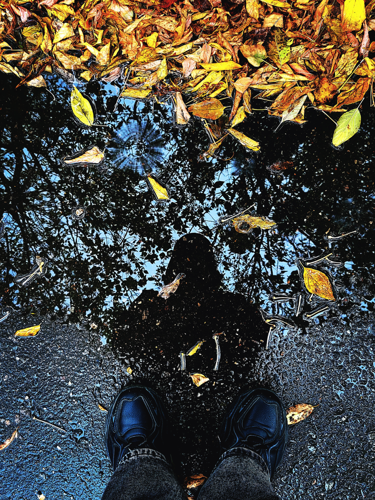 Осень. 🍂 | Сетка — социальная сеть от hh.ru