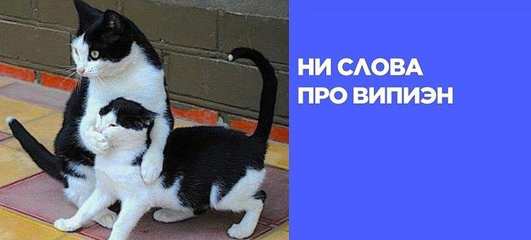 Реклама под прицелом: что изменилось в законах в 2025 году
Штрафы за VPN, запрет на иностранные мессенджеры, новые правила для гостиниц и ограничения в рекламе банкротства | Сетка — социальная сеть от hh.ru