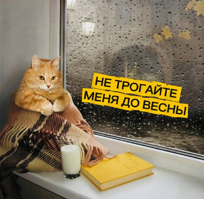 Как пережить осеннюю хандру и не выпасть из жизни?
Осень - это не только красивые листья и уютные свитера | Сетка — социальная сеть от hh.ru