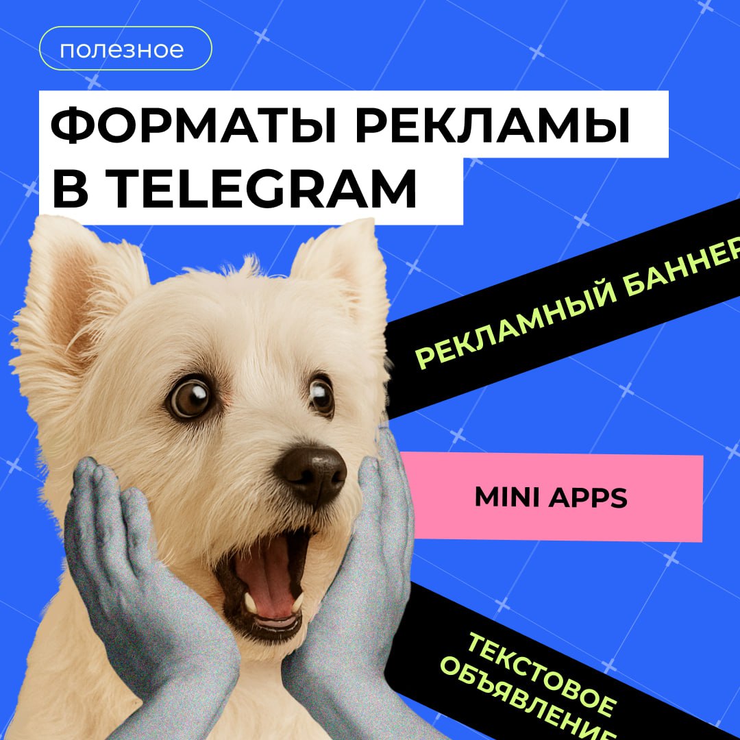 В Telegram доступны разнообразные форматы таргетированной рекламы, которые позволяют эффективно привлекать новых клиентов и удерживать внимание вашей целевой аудитории | Сетка — социальная сеть от hh.ru