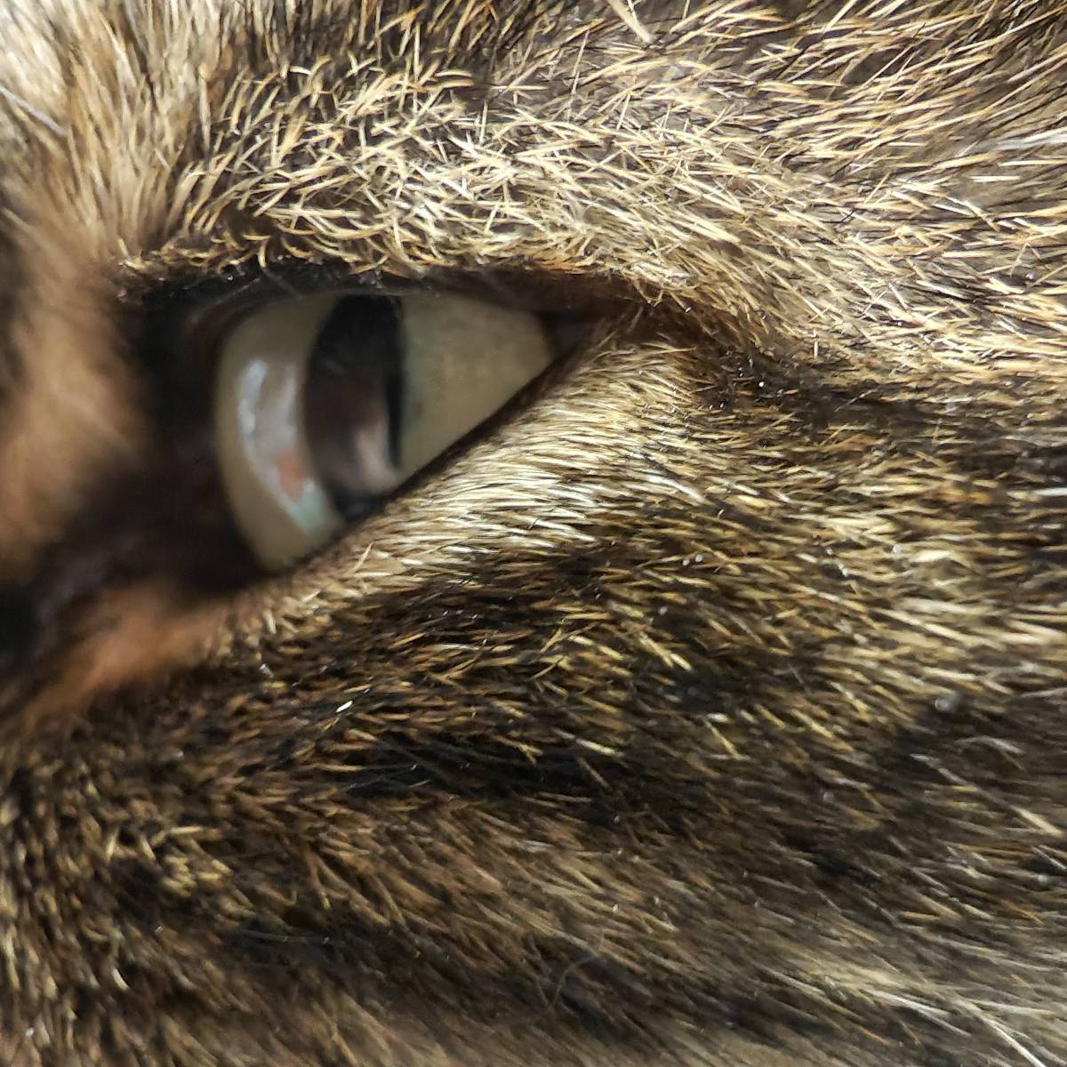 Павел Sh | Сетка — социальная сеть от hh.ru