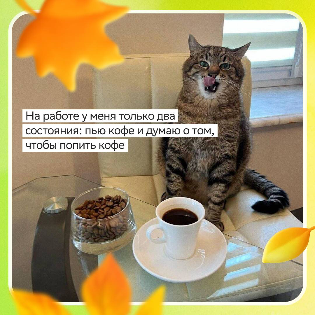 Сегодня День кофе, а значит — отличный повод добавить драйва и продуктивности в карьеру!
Если ищешь место, где твой профессионализм оценят так же высоко, как крепкий экспрессо утром, заглядывай в дайд... | Сетка — социальная сеть от hh.ru