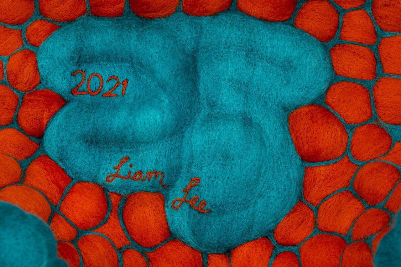 Один из амбивалентных дизайнеров — Liam Lee из Нью-Йорка | Сетка — социальная сеть от hh.ru