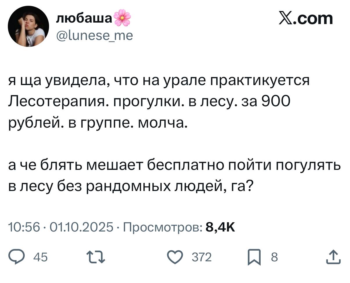 Зумеры изобрели ЛЕСОТЕРАПИЮ. С вас 900 рублей. | Сетка — социальная сеть от hh.ru