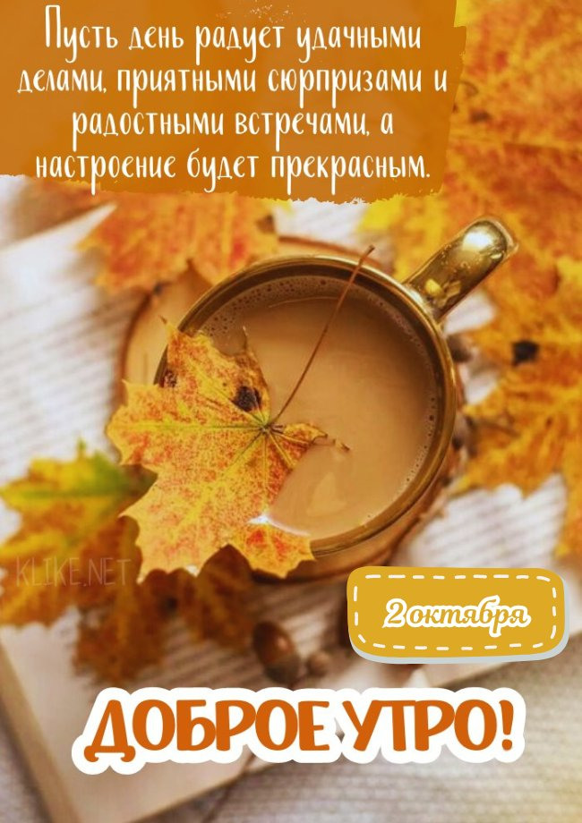 Трудовой четверг | Сетка — социальная сеть от hh.ru