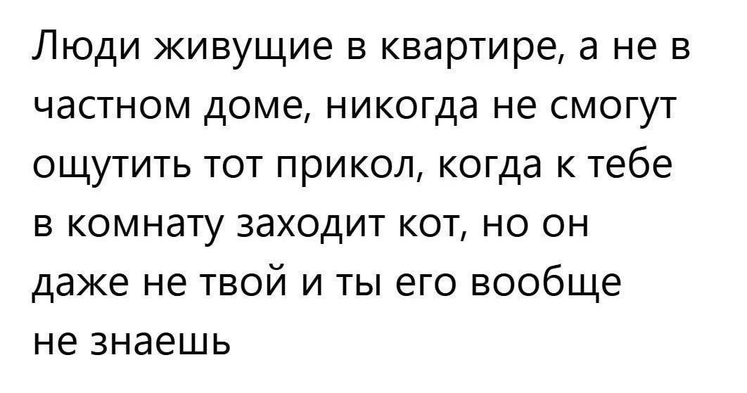Новый питомец 😂😂😂
#Юмор@poldner #Коты@poldner | Сетка — социальная сеть от hh.ru
