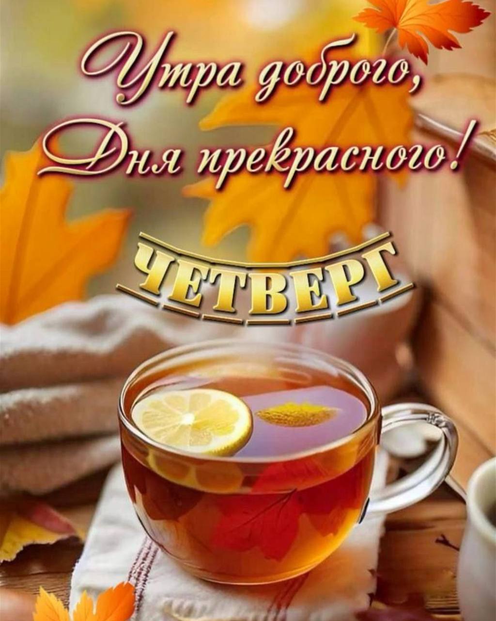Доброе утро, ставропольцы!
📲 Что-то на Ставропольском в MAX | Сетка — социальная сеть от hh.ru