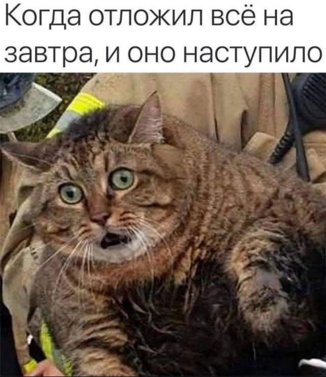 #work #life | Сетка — социальная сеть от hh.ru