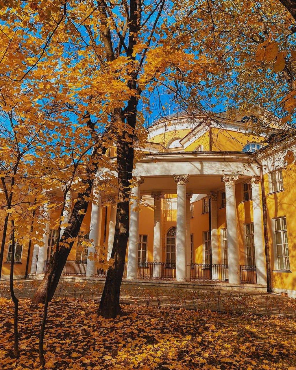 Прекрасные усадьбы Москвы😍
▪️Усадьба Братцево
📍Светлогорский пр., 13
▪️Усадьба Измайлово
📍городок им. Баумана, 2, стр. 14
▪️Усадьба Кусково
📍ул | Сетка — социальная сеть от hh.ru