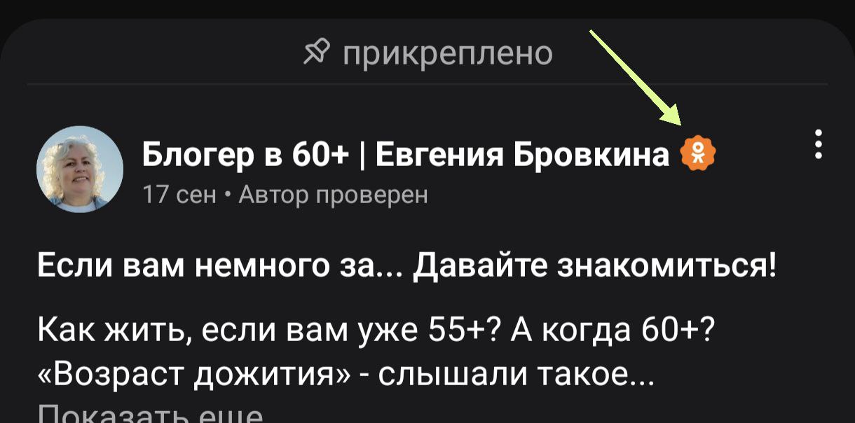 Мне в ОК какую-то штуку прилепили 😂
Но это не "синяя галочка".
Полистала, проверила - синие галочки - они и в Африке синие галочки 👌 | Сетка — социальная сеть от hh.ru