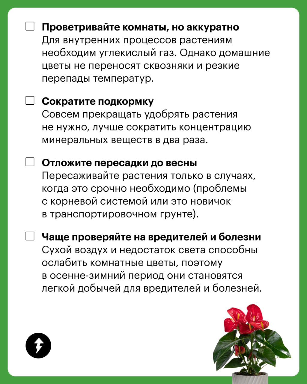 🌸 В холодное время года растения замедляют свой рост, но большинство из них прекрасно переносит этот период | Сетка — социальная сеть от hh.ru