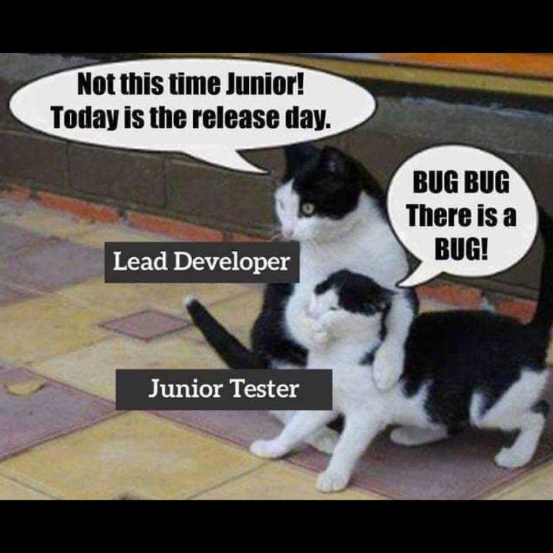 🧩 SPIDR: техника Data (данные) | Сетка — социальная сеть от hh.ru