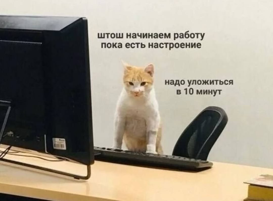 Выдохнем коллеги🙃 | Сетка — социальная сеть от hh.ru