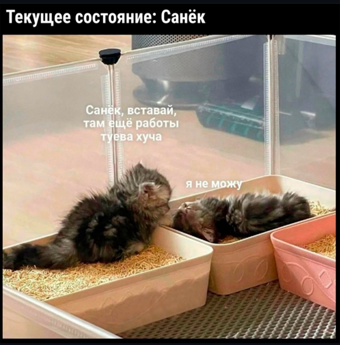 Рабочие дни | Сетка — социальная сеть от hh.ru