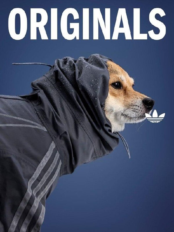 Китайский Adidas выпустил очень милую коллекцию одежды для животных.
В коллекции есть тёплые плащи с высоким воротником и светоотражающими элементами, разные тёплые жилетки и бомберы | Сетка — социальная сеть от hh.ru