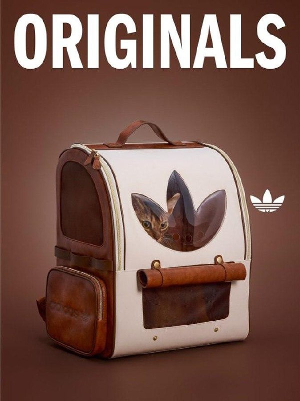 Китайский Adidas выпустил очень милую коллекцию одежды для животных.
В коллекции есть тёплые плащи с высоким воротником и светоотражающими элементами, разные тёплые жилетки и бомберы | Сетка — социальная сеть от hh.ru