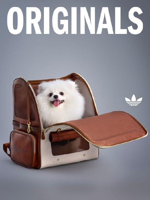 Китайский Adidas выпустил очень милую коллекцию одежды для животных.
В коллекции есть тёплые плащи с высоким воротником и светоотражающими элементами, разные тёплые жилетки и бомберы | Сетка — социальная сеть от hh.ru