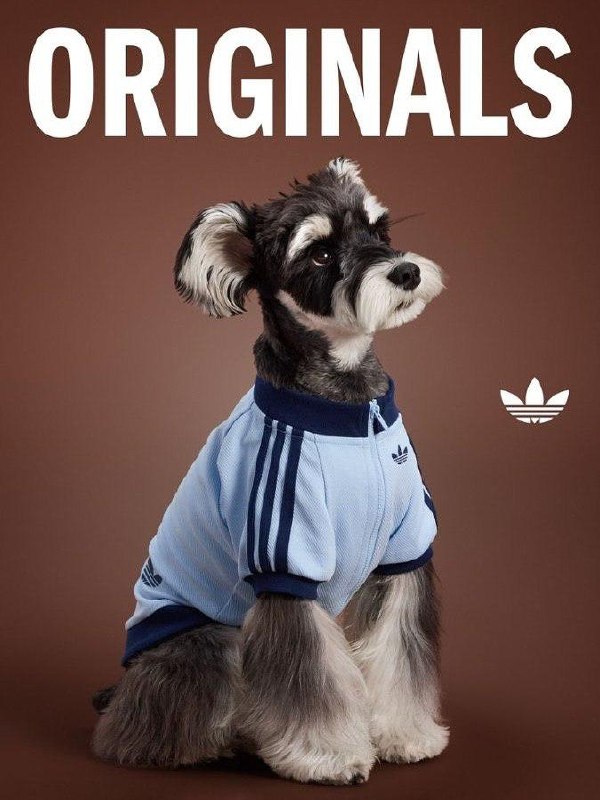 Китайский Adidas выпустил очень милую коллекцию одежды для животных.
В коллекции есть тёплые плащи с высоким воротником и светоотражающими элементами, разные тёплые жилетки и бомберы | Сетка — социальная сеть от hh.ru