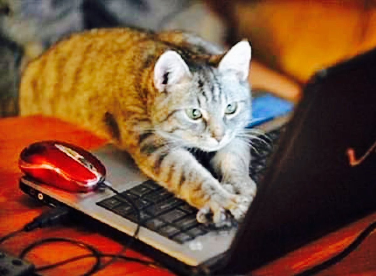 Так, где там наши Прохоры Шаляпины? Возвращаюсь с лучшими из лучших!!!
Собрал для вас подборочку красавиц, за чье сердце однозначно стоит побороться | Сетка — социальная сеть от hh.ru