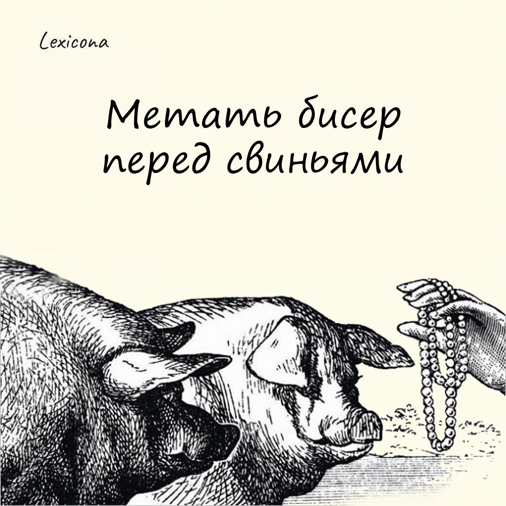 Метать бисер перед свиньями 🐖
Выражение означает объяснять или доказывать что-либо тому, кто не способен или не хочет ни понять, ни оценить это должным образом 🤷‍♂️ | Сетка — социальная сеть от hh.ru
