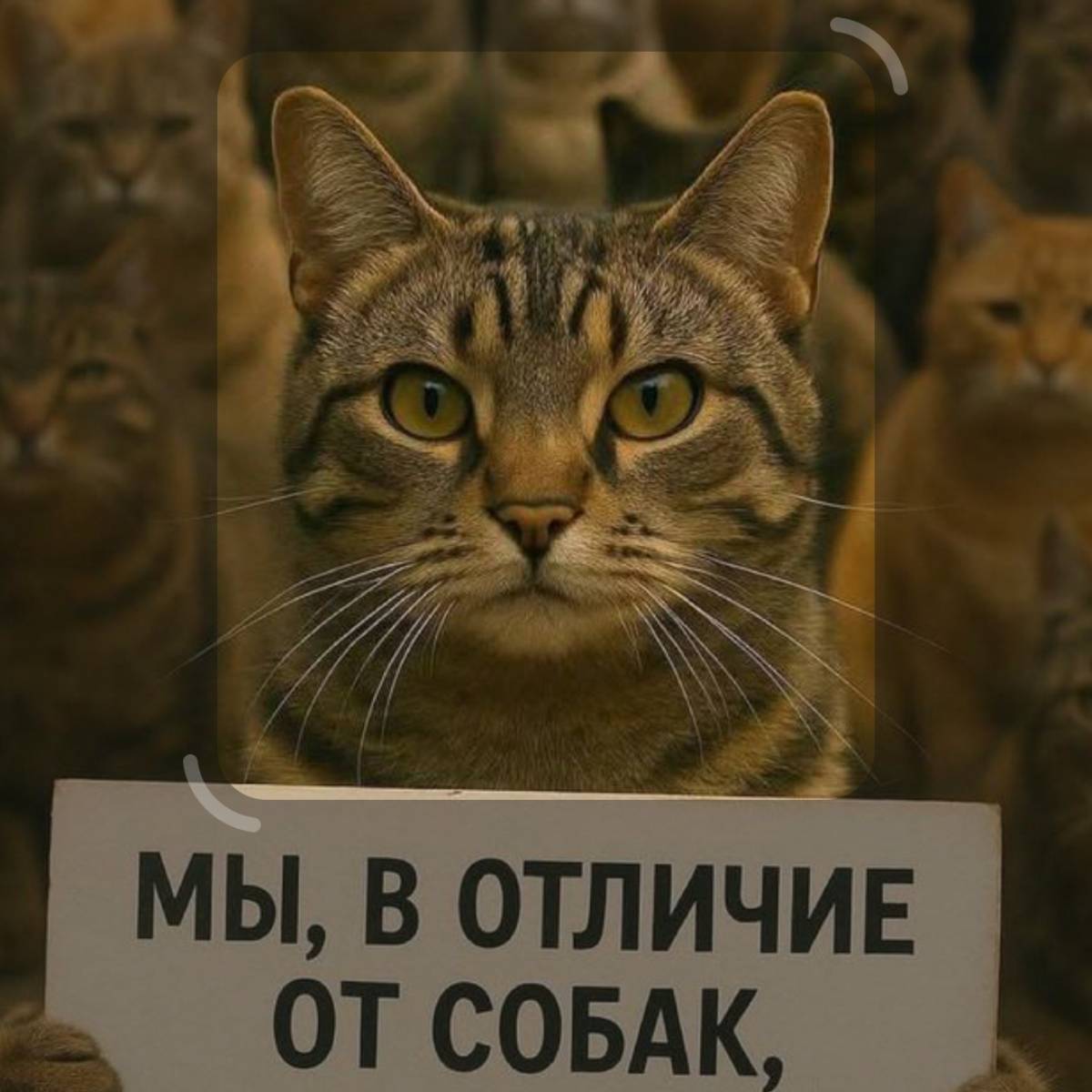 Azat Kharisov