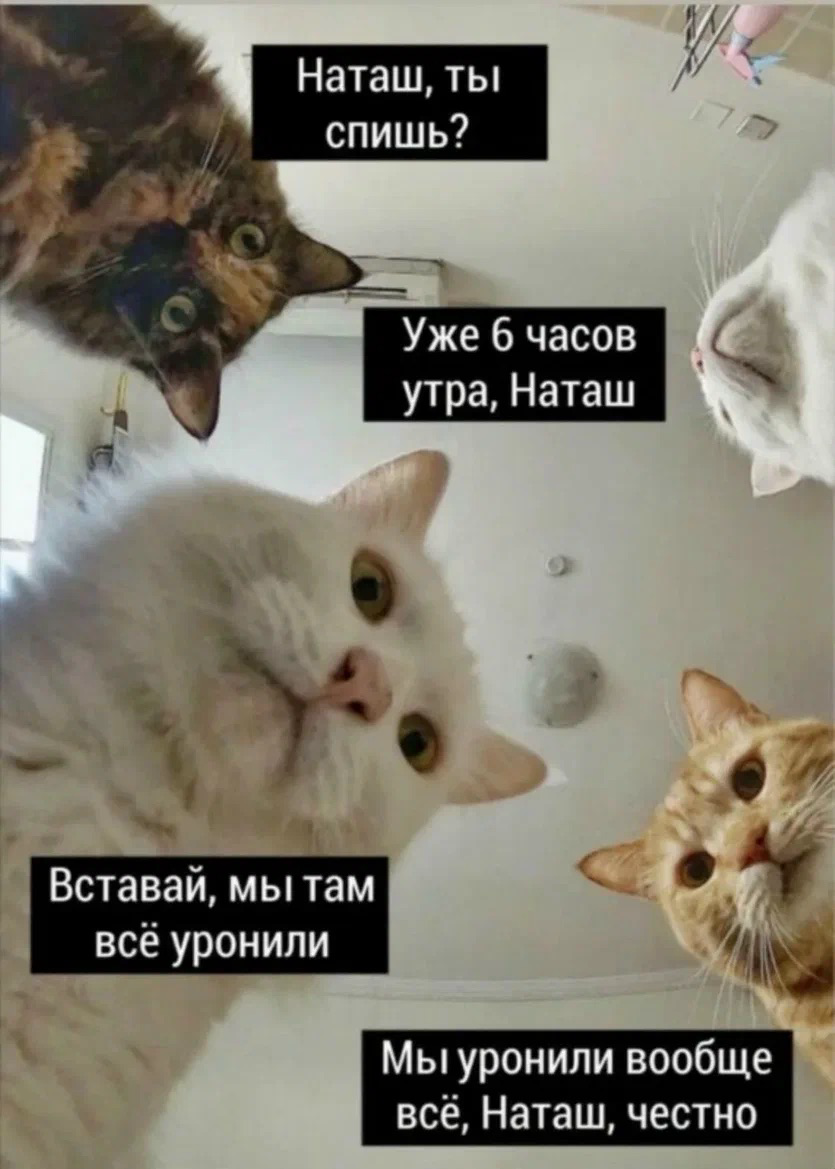 Мотивация переоценена. Выслушайте меня! | Сетка — социальная сеть от hh.ru