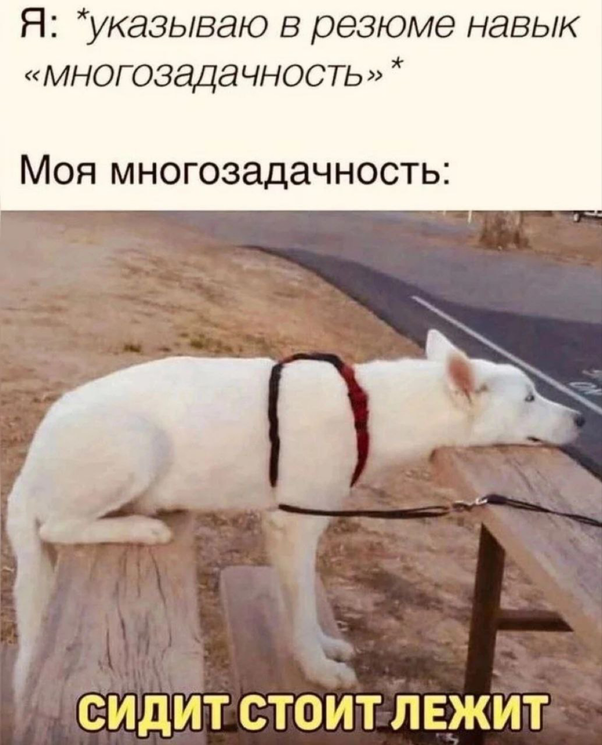 Сетка — социальная сеть от hh.ru
