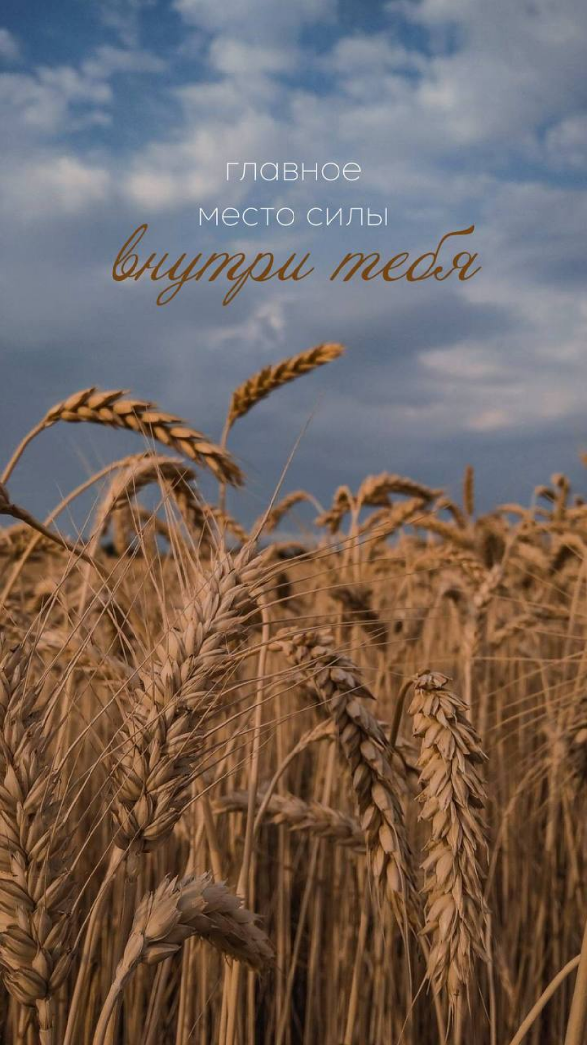 Пожелания | Сетка — социальная сеть от hh.ru