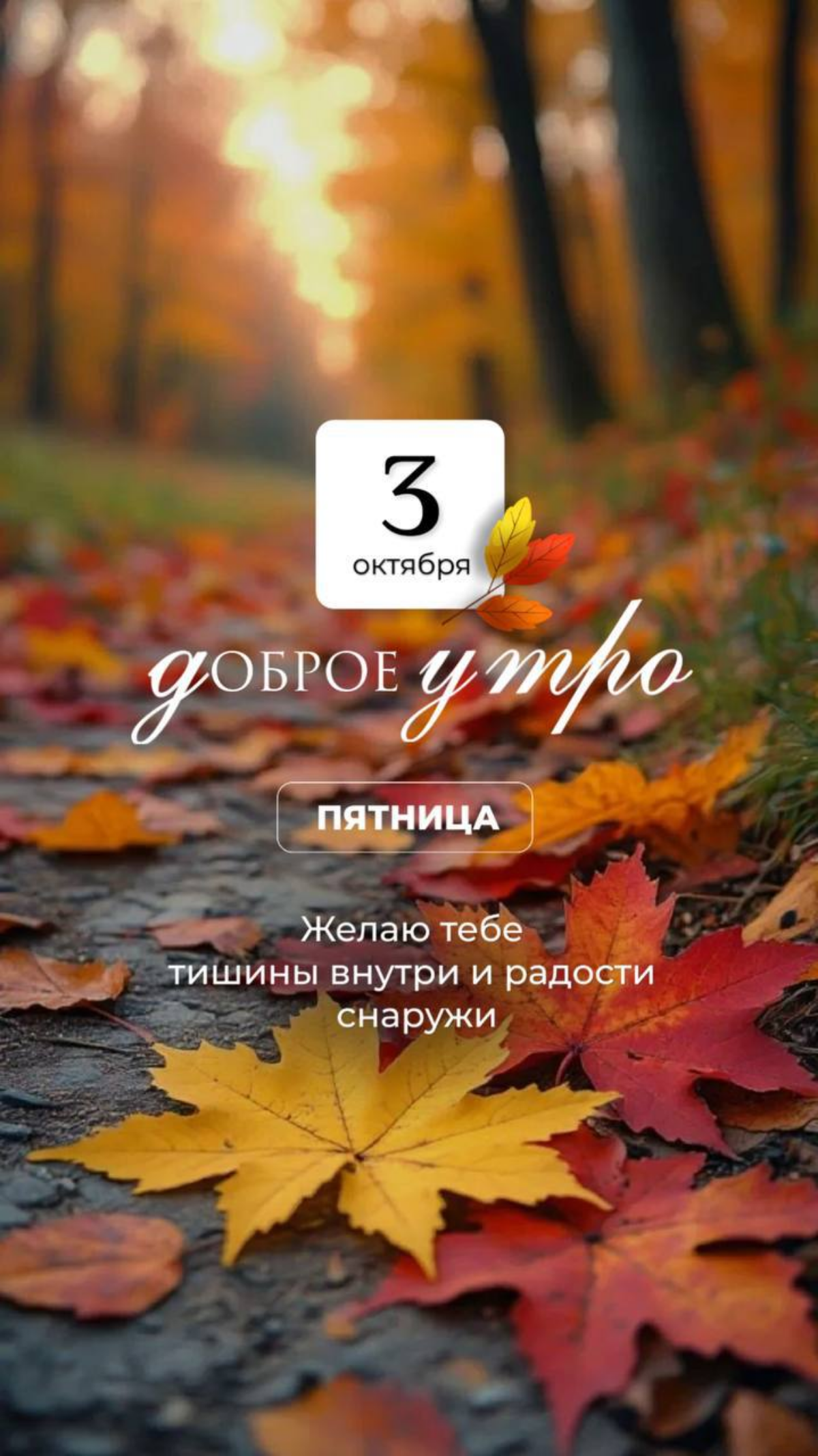 Пожелания | Сетка — социальная сеть от hh.ru