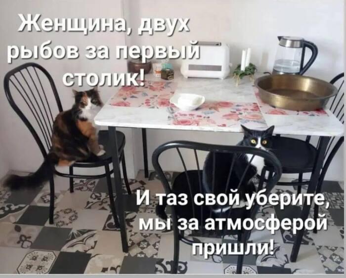 Сходите вместо меня на свидание, а я потом женюсь, плиз
На одной консультации владелец ресторана попросил меня сделать ему маркетинг, чтобы он не вникал | Сетка — социальная сеть от hh.ru
